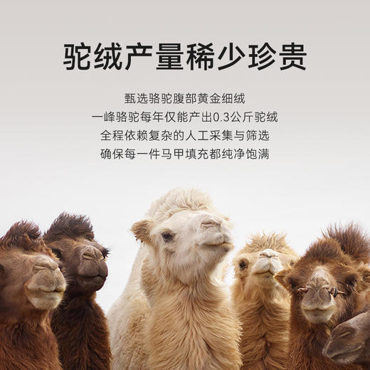 【十如仕】秋冬梭织立领驼绒保暖马甲-VT01-01 商品图8