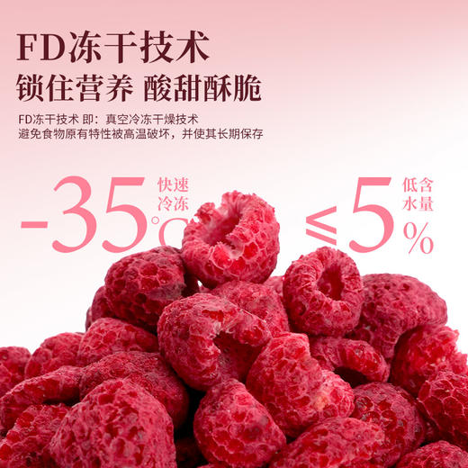 全食物日记 冻干树莓20g 商品图1