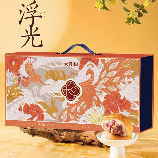 大蓉和月饼中秋节礼盒 滇式广式月饼糕点 过节送礼品  玉影浮光720g（7味10饼） 礼盒装 商品图0