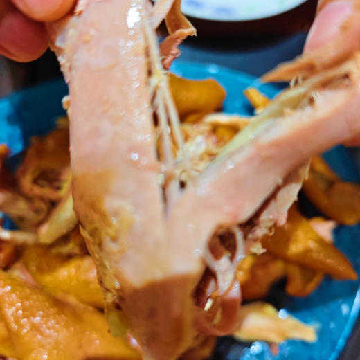 传统鲜烧鸡 900天有机老母鸡加工 商品图5