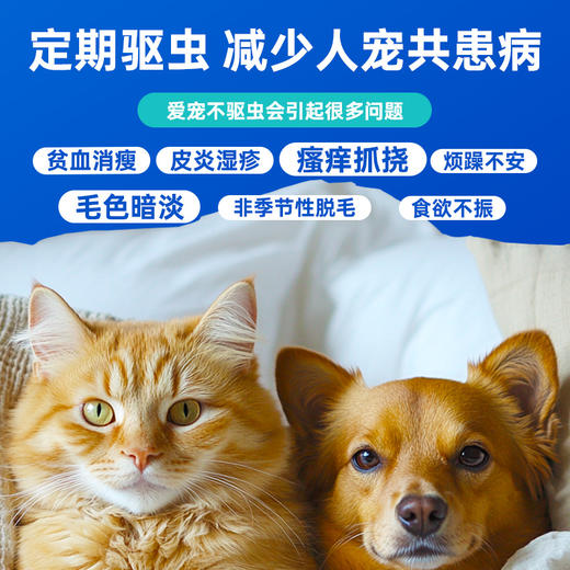 【澳龙】狗狗体外驱虫药大型犬用贝宠安除虱子跳蚤蜱虫外用杀虫滴剂 商品图3