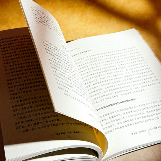 教育写作 从入门到卓越 大夏书系 黄建初 教师专业发展 商品图12