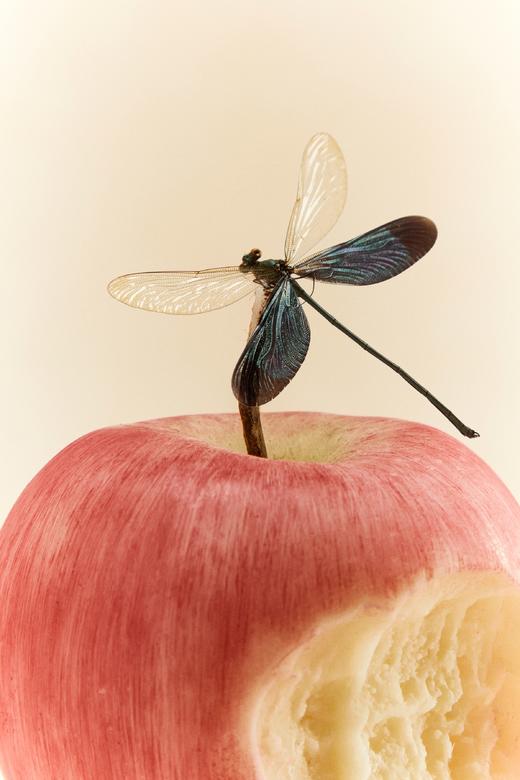 MO MAEK蓦刻 咬一口苹果手绘香薰蜡烛 洛川瑞雪苹果清香 商品图4