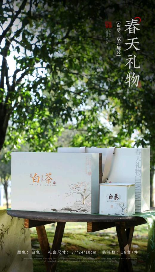 白茶 茶叶礼盒 250g/盒  【BC】【PCJ】 商品图1