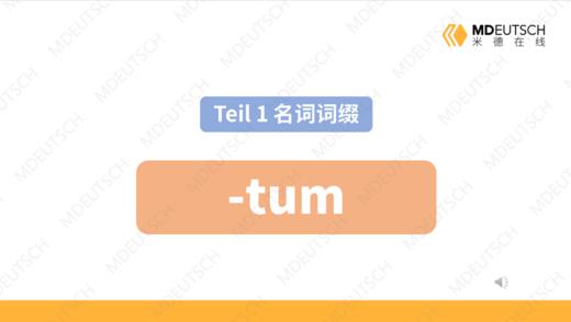名词后缀 -tum 商品图0