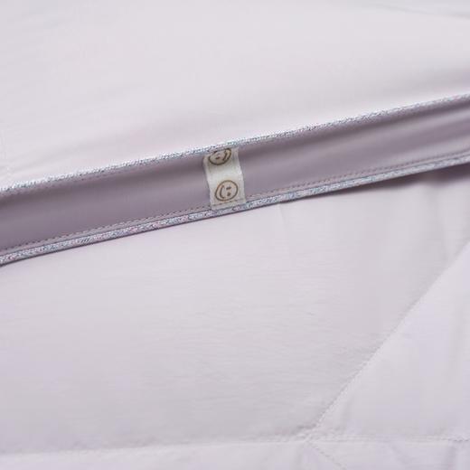 eral艾莱依家纺羽绒奥特齐可水洗鹅绒空调被白鹅绒子母被二合一被芯冬被 商品图2