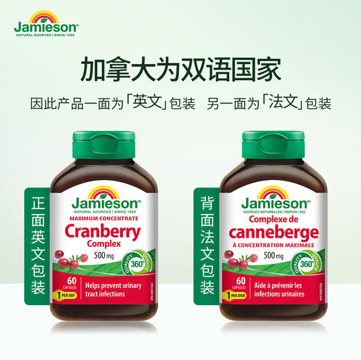 【分销】Jamieson健美生蔓越莓胶囊500mg60粒20:1高浓度呵护成年女性私密健康 商品图11