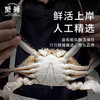 【冷冻】至鲜梭子蟹2.6斤/6-8只整只当季液氮冷冻3-5两/只吕四黄海海鲜螃蟹新鲜 商品缩略图0