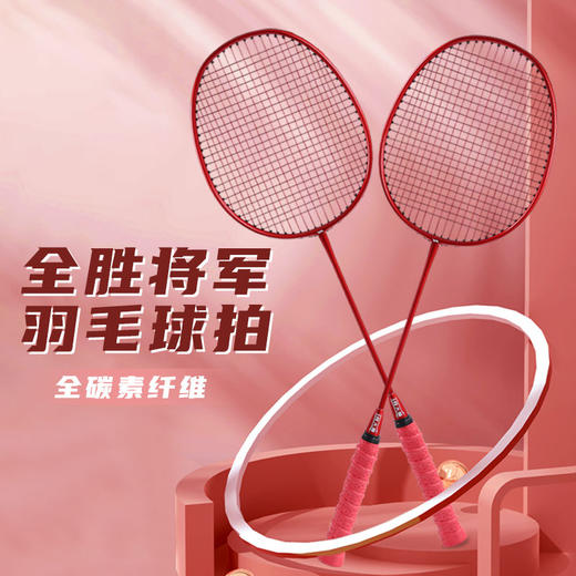 何大屋常胜将军羽毛球拍HDW1315【LXGWDXY2.0】 商品图1