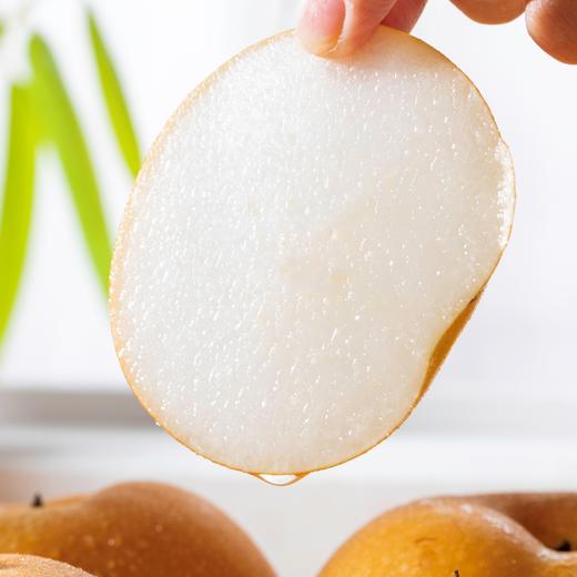 山东秋月梨|酥脆无渣，比冰糖还甜的梨汁炸弹，秋日超水灵的一口！ 商品图2