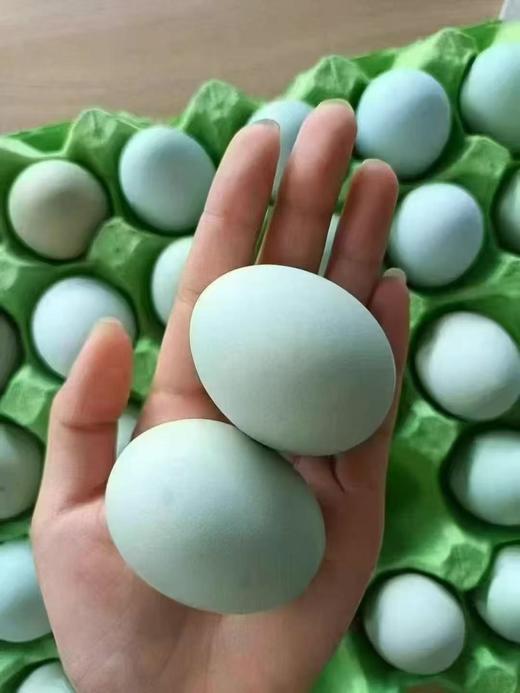 周日取货：【绿壳散养乌鸡蛋】一板30枚（净重约2斤左右）营养丰富，蛋香四溢，口感细腻。 商品图2