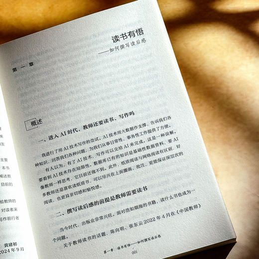 教育写作 从入门到卓越 大夏书系 黄建初 教师专业发展 商品图9