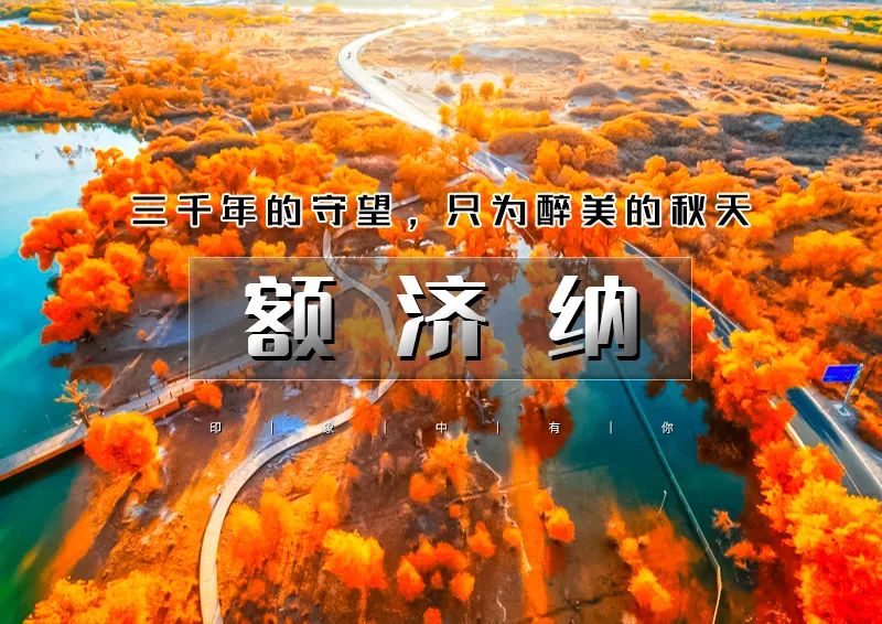 国庆5天｜额济纳｜为千年胡扬林而来の额济纳-黑城怪树林-居延海-中蒙边境