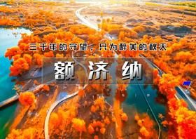 国庆5天｜额济纳｜为千年胡扬林而来の额济纳-黑城怪树林-居延海-中蒙边境