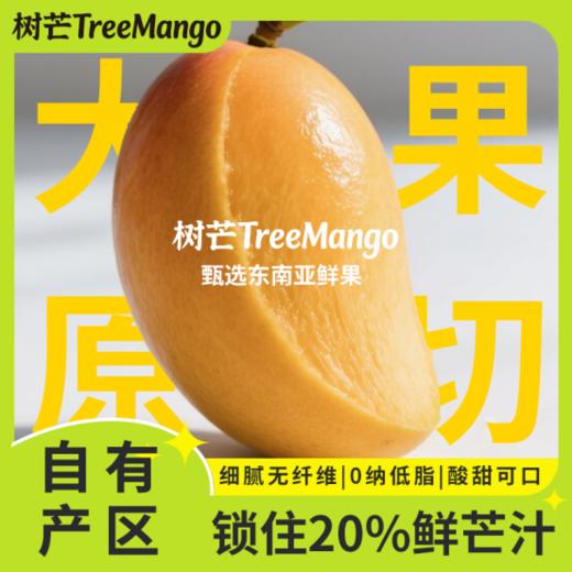 🥭芒果干届的扛把子【树芒原切芒果干】🤩不愧是果干界的“爱马仕”精选又大片又厚实的柬埔寨高乐蜜果种，🌈一颗仅出4片，0钠减糖版 好吃又健康，🔥真的被这款树芒芒果干惊艳到了！ 商品图0