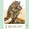素言茶坊~山境·花好月圆 三年陈寿眉白茶饼精美茶礼350克 商品缩略图3