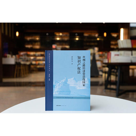 丝绸之路经济带沿线国家知识产权法 邓社民等译 法律出版社 商品图0