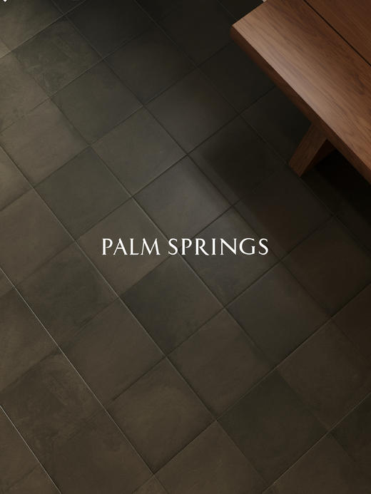 CHA-RZ-59 200*200mm 哑面瓷砖 商品图3