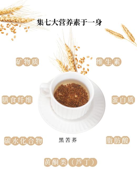 荞丞相黑苦茶 商品图6