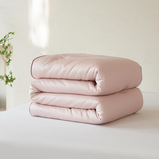 艾草养肤被-冬被-粉色-200*230cm  2500g 商品图8