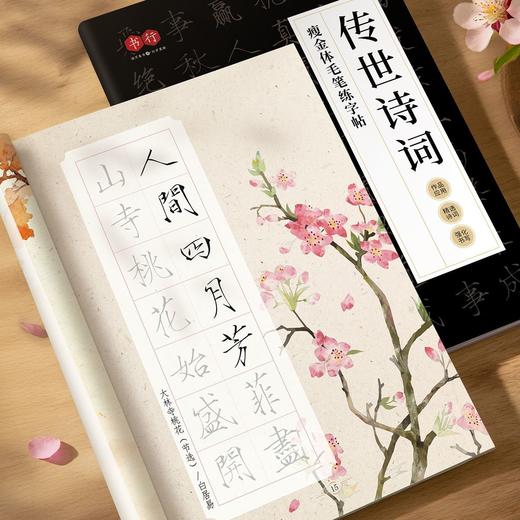 瘦金体宋徽宗毛笔练字帖成人零基础教程小楷入门初学者千字文描红 商品图5