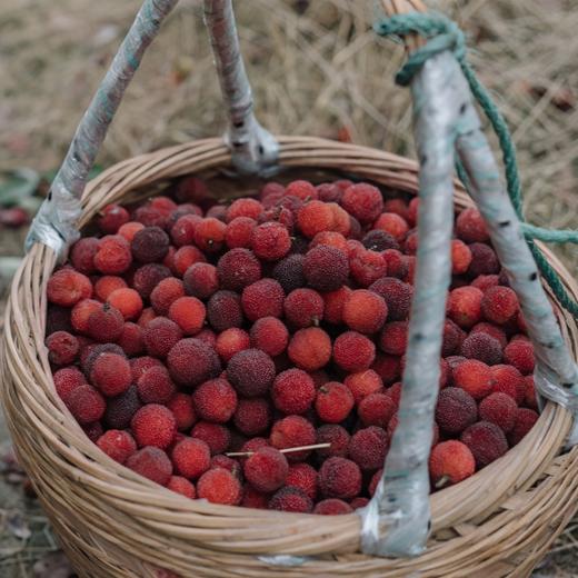 杨梅酒 传统黄酒酒曲 鲜杨梅果汁 原浆发酵 酸醇微甜 鲜爽生津 商品图6