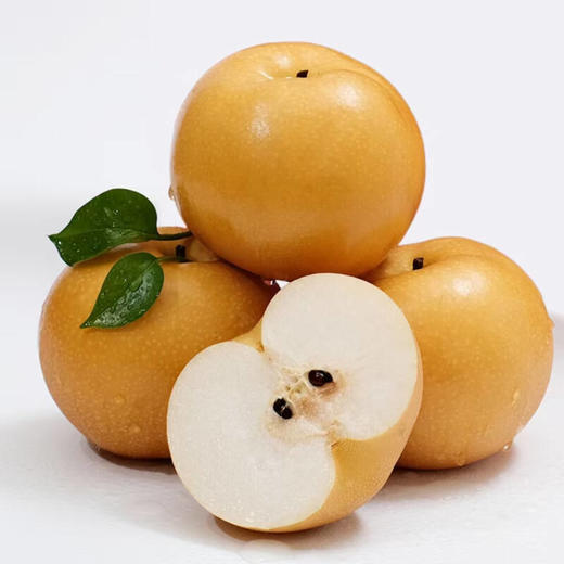 正宗秋月梨*4粒 商品图1