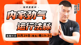 【8月29日】内家劲气运行法脉