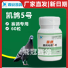 凯鸽5号五号胶囊单眼伤风衣原体流泪红肿赛鸽信鸽子保健日常 商品缩略图0