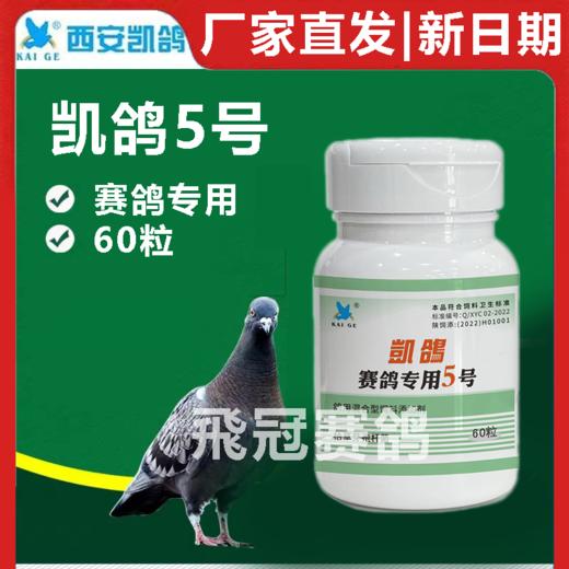 凯鸽5号五号胶囊单眼伤风衣原体流泪红肿赛鸽信鸽子保健日常 商品图0