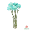 VDB吸色小菊-蒂芙尼蓝 5枝一扎 商品缩略图5