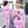 女童春装套装2025新款春秋季网红洋气中大儿童时髦女孩运动两件套 商品缩略图2