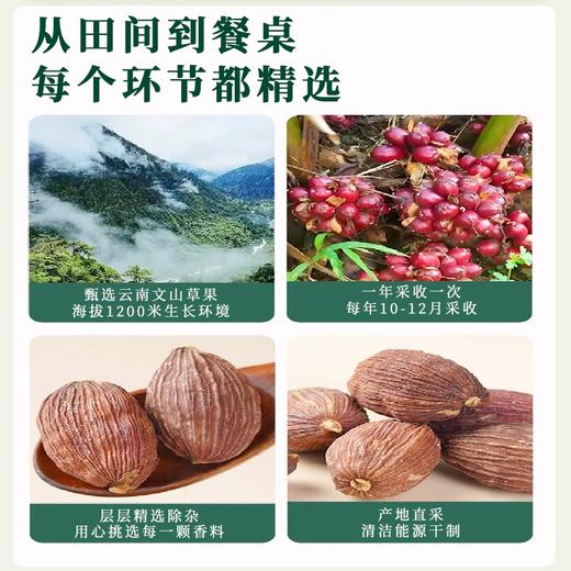 蜀渝天香草果50g 商品图2