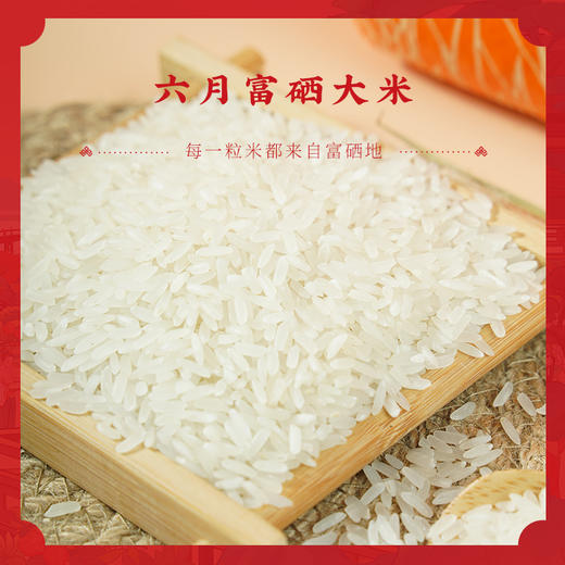 【陇间柒月】有凤来仪A1.WN 商品图4