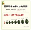 秘鲁进口即食牛油果大果*6粒 商品缩略图4