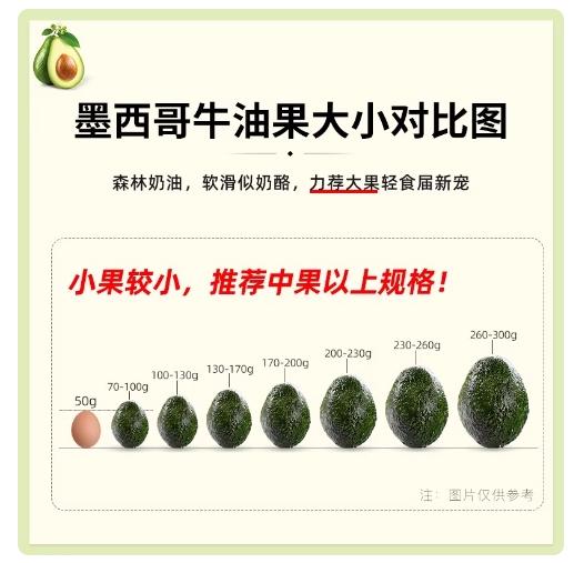 秘鲁进口即食牛油果大果*6粒 商品图4