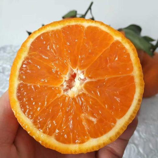 四川蒲江爱媛果冻橙皮薄多汁 纯甜无渣 商品图0