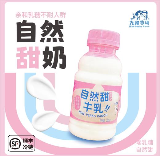 预售3-7天发货&九峰牧场自然甜&5.0牛乳牛奶#自然甜牛乳无乳糖好吸收&5.0优质乳蛋白高钙纯牛奶，短保15天，顺丰发货 商品图0