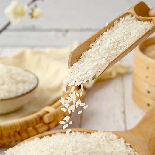 【MDL】麦臻选有机五常大米5KG 商品图2