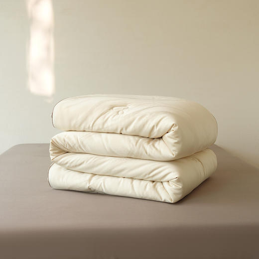 肽素润肤被-冬被-香槟色-200*230cm  2750g 商品图6