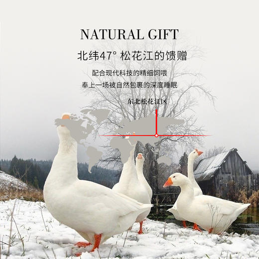 【鹅绒被】极光鹅绒被 ICEQUEEN冰雪皇后系列家用羽绒被子 95%大朵白鹅绒填充被芯，600-1400克可选 商品图3