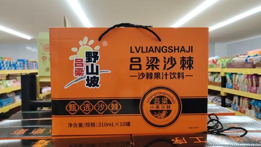 吕梁野山坡沙棘果汁饮料310ml*10罐 商品图0