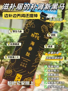 硬核养护｜海参肽科学养肾新方式