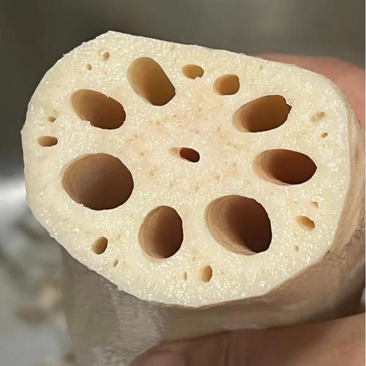 洪湖莲藕 | 精选沔城藕品种，真正的老品种!只取中间3-4段精华部分!入口粉糯不干，久煮不烂，多汁更拉丝!成然度高口感好 商品图4