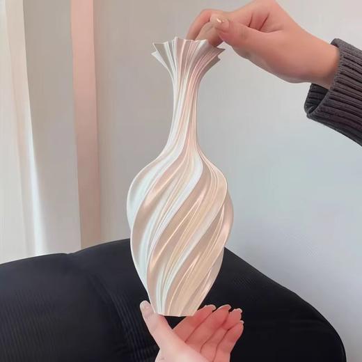塑料3D打印丝绸简约干花瓶创意艺术装饰摆件北欧风高颜值网红花瓶 商品图0