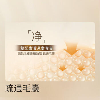 京东京造防脱洗发水生姜侧柏叶固发养发男女士去油屑止痒蓬松洗头膏露金榜 /个人护理 /洗发护发 /洗发水 商品图7