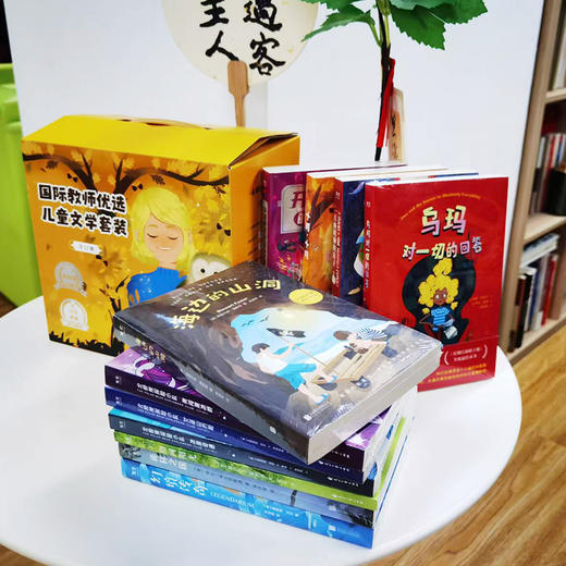 【精美礼盒装】国际教师优选小说套装（全11册）本本获奖，数十项大奖拿到手软，百位中外一线名师推荐，重塑三观，培养孩子阅读兴趣 商品图5