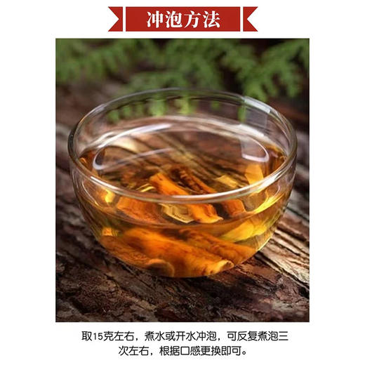 【长白山野生5年蒲公英根】| 元和优选 炒熟不寒凉 粗根 100g/1罐 商品图3