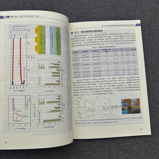 官网 钠离子电池 材料 表征与技术 下卷 玛拉 马格达莱纳 蒂廷斯 钠离子电池材料理论技术应用书籍 商品图3