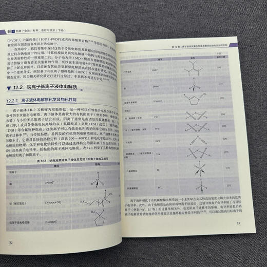 官网 钠离子电池 材料 表征与技术 下卷 玛拉 马格达莱纳 蒂廷斯 钠离子电池材料理论技术应用书籍 商品图2